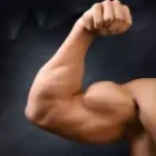 Bicep Implants