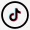 Tiktok Icon